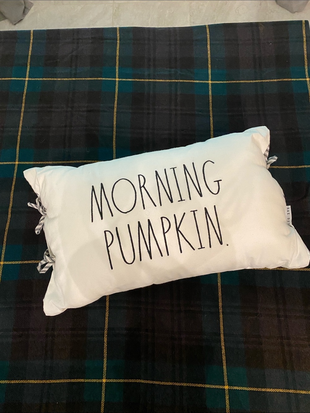 Rae Dunn "Morning Pumpkin" Lumbar Throw Pillow